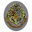 Harry Potter Hogwarts Crest Resin Magnet